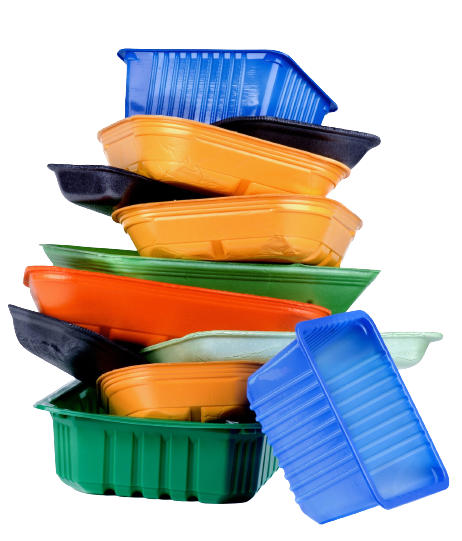 Recycled Plastic Food Box